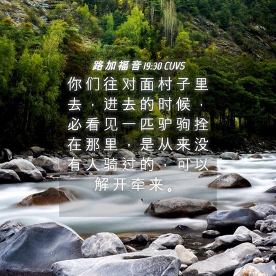 Picture 04 - 路 加 福 音 19:30 CUVS - 你 们 往 对 面 村 子 里 去 ， 进 去 - Bible Verse Picture