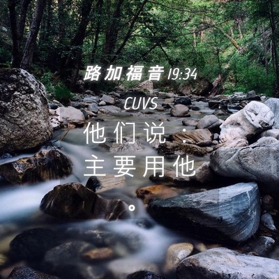 Picture 04 - 路 加 福 音 19:34 CUVS - 他 们 说 ： 主 要 用 他 - Bible Verse Picture