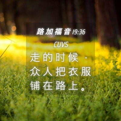 Picture 04 - 路 加 福 音 19:36 CUVS - 走 的 时 候 ， 众 人 把 衣 服 铺 在 - Bible Verse Picture