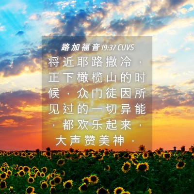 Picture 04 - 路 加 福 音 19:37 CUVS - 将 近 耶 路 撒 冷 ， 正 下 橄 榄 山 - Bible Verse Picture