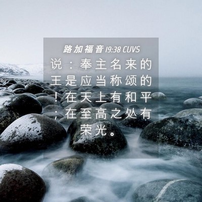 Picture 04 - 路 加 福 音 19:38 CUVS - 说 ： 奉 主 名 来 的 王 是 应 当 称 - Bible Verse Picture