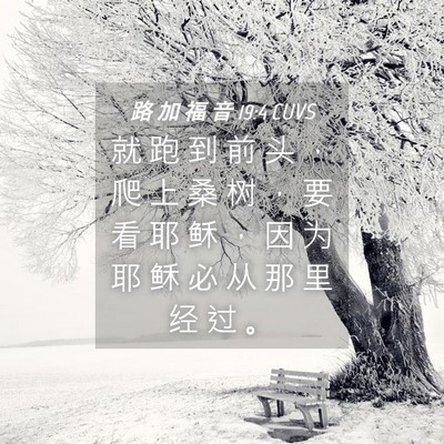 Picture 04 - 路 加 福 音 19:4 CUVS - 就 跑 到 前 头 ， 爬 上 桑 树 ， 要 - Bible Verse Picture