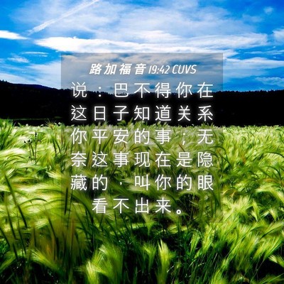 Picture 04 - 路 加 福 音 19:42 CUVS - 说 ： 巴 不 得 你 在 这 日 子 知 道 - Bible Verse Picture