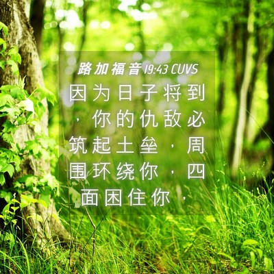 Picture 04 - 路 加 福 音 19:43 CUVS - 因 为 日 子 将 到 ， 你 的 仇 敌 必 - Bible Verse Picture