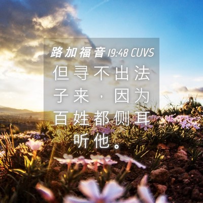 Picture 04 - 路 加 福 音 19:48 CUVS - 但 寻 不 出 法 子 来 ， 因 为 百 姓 - Bible Verse Picture