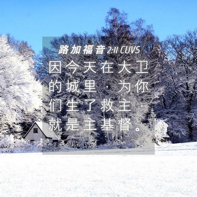Picture 04 - 路 加 福 音 2:11 CUVS - 因 今 天 在 大 卫 的 城 里 ， 为 你 - Bible Verse Picture