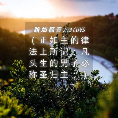 Picture 04 - 路 加 福 音 2:23 CUVS - （ 正 如 主 的 律 法 上 所 记 ： 凡 - Bible Verse Picture