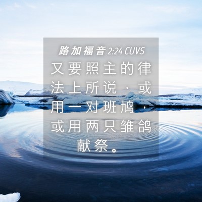 Picture 04 - 路 加 福 音 2:24 CUVS - 又 要 照 主 的 律 法 上 所 说 ， 或 - Bible Verse Picture