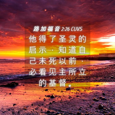 Picture 04 - 路 加 福 音 2:26 CUVS - 他 得 了 圣 灵 的 启 示 ， 知 道 自 - Bible Verse Picture