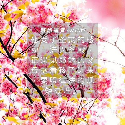 Picture 04 - 路 加 福 音 2:27 CUVS - 他 受 了 圣 灵 的 感 动 ， 进 入 圣 - Bible Verse Picture