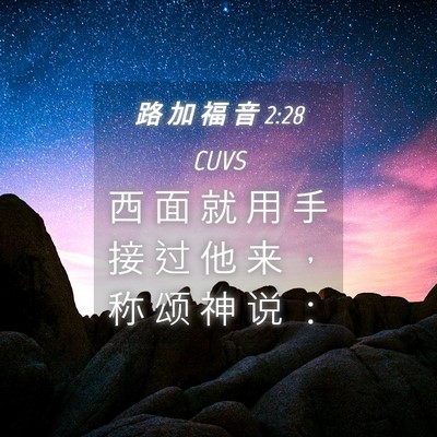 Picture 04 - 路 加 福 音 2:28 CUVS - 西 面 就 用 手 接 过 他 来 ， 称 颂 - Bible Verse Picture