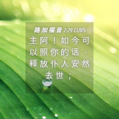 Picture 04 - 路 加 福 音 2:29 CUVS - 主 阿 ！ 如 今 可 以 照 你 的 话 ， - Bible Verse Picture