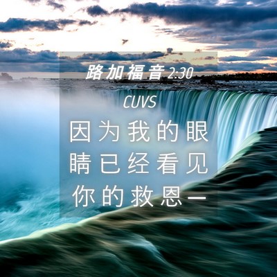 Picture 04 - 路 加 福 音 2:30 CUVS - 因 为 我 的 眼 睛 已 经 看 见 你 的 - Bible Verse Picture