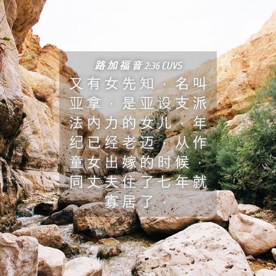 Picture 04 - 路 加 福 音 2:36 CUVS - 又 有 女 先 知 ， 名 叫 亚 拿 ， 是 - Bible Verse Picture