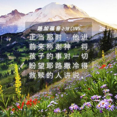 Picture 04 - 路 加 福 音 2:38 CUVS - 正 当 那 时 ， 他 进 前 来 称 谢 神 - Bible Verse Picture
