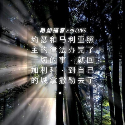 Picture 04 - 路 加 福 音 2:39 CUVS - 约 瑟 和 马 利 亚 照 主 的 律 法 办 - Bible Verse Picture