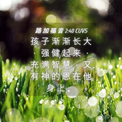 Picture 04 - 路 加 福 音 2:40 CUVS - 孩 子 渐 渐 长 大 ， 强 健 起 来 ， - Bible Verse Picture