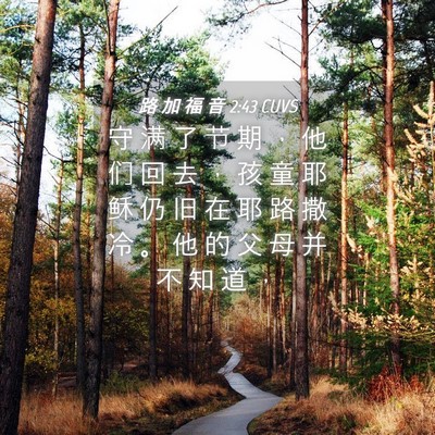 Picture 04 - 路 加 福 音 2:43 CUVS - 守 满 了 节 期 ， 他 们 回 去 ， 孩 - Bible Verse Picture