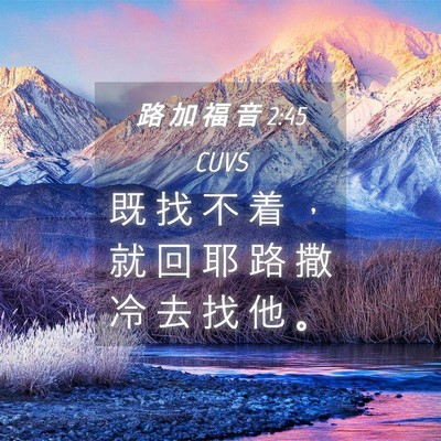 Picture 04 - 路 加 福 音 2:45 CUVS - 既 找 不 着 ， 就 回 耶 路 撒 冷 去 - Bible Verse Picture