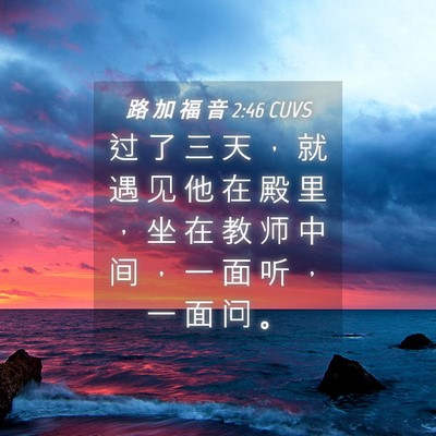 Picture 04 - 路 加 福 音 2:46 CUVS - 过 了 三 天 ， 就 遇 见 他 在 殿 里 - Bible Verse Picture
