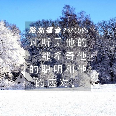 Picture 04 - 路 加 福 音 2:47 CUVS - 凡 听 见 他 的 ， 都 希 奇 他 的 聪 - Bible Verse Picture