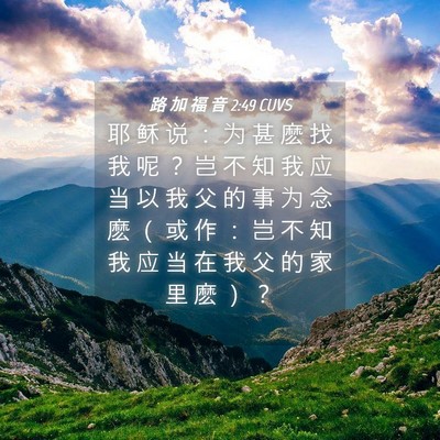 Picture 04 - 路 加 福 音 2:49 CUVS - 耶 稣 说 ： 为 甚 麽 找 我 呢 ？ 岂 - Bible Verse Picture