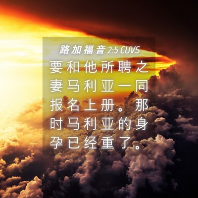 Picture 04 - 路 加 福 音 2:5 CUVS - 要 和 他 所 聘 之 妻 马 利 亚 一 同 - Bible Verse Picture