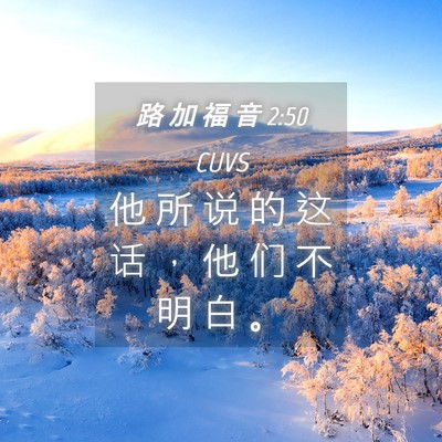 Picture 04 - 路 加 福 音 2:50 CUVS - 他 所 说 的 这 话 ， 他 们 不 明 白 - Bible Verse Picture