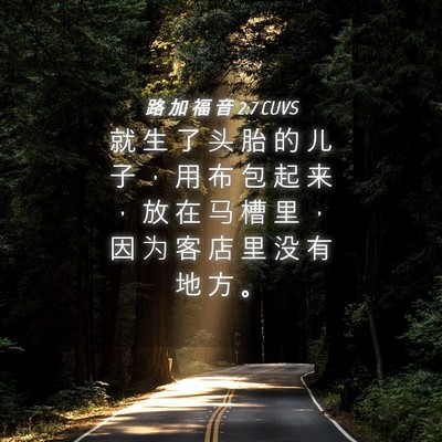 Picture 04 - 路 加 福 音 2:7 CUVS - 就 生 了 头 胎 的 儿 子 ， 用 布 包 - Bible Verse Picture