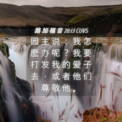 Picture 04 - 路 加 福 音 20:13 CUVS - 园 主 说 ： 我 怎 麽 办 呢 ？ 我 要 - Bible Verse Picture
