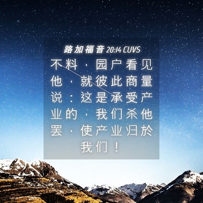 Picture 04 - 路 加 福 音 20:14 CUVS - 不 料 ， 园 户 看 见 他 ， 就 彼 此 - Bible Verse Picture