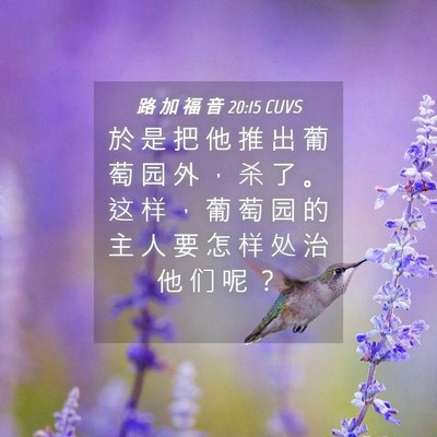 Picture 04 - 路 加 福 音 20:15 CUVS - 於 是 把 他 推 出 葡 萄 园 外 ， 杀 - Bible Verse Picture
