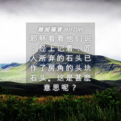 Picture 04 - 路 加 福 音 20:17 CUVS - 耶 稣 看 着 他 们 说 ： 经 上 记 着 - Bible Verse Picture