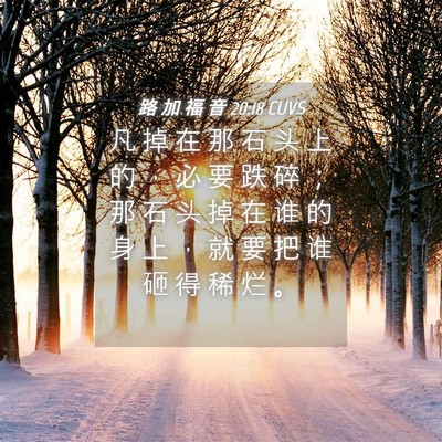 Picture 04 - 路 加 福 音 20:18 CUVS - 凡 掉 在 那 石 头 上 的 ， 必 要 跌 - Bible Verse Picture