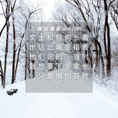 Picture 04 - 路 加 福 音 20:19 CUVS - 文 士 和 祭 司 长 看 出 这 比 喻 是 - Bible Verse Picture
