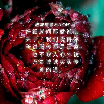 Picture 04 - 路 加 福 音 20:21 CUVS - 奸 细 就 问 耶 稣 说 ： 夫 子 ， 我 - Bible Verse Picture