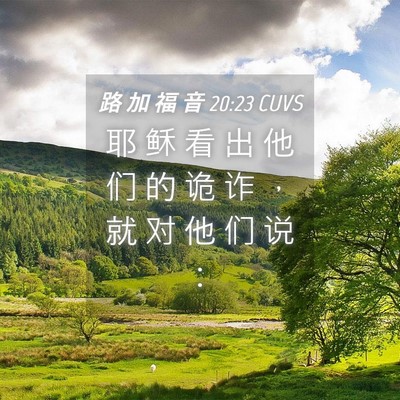 Picture 04 - 路 加 福 音 20:23 CUVS - 耶 稣 看 出 他 们 的 诡 诈 ， 就 对 - Bible Verse Picture