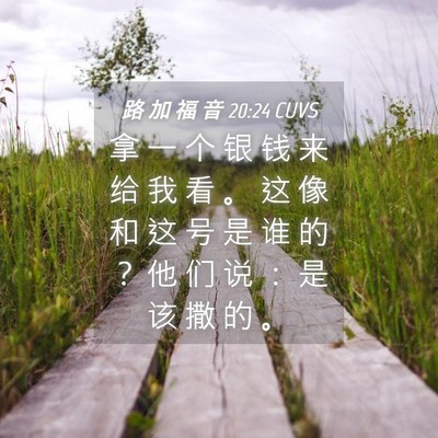 Picture 04 - 路 加 福 音 20:24 CUVS - 拿 一 个 银 钱 来 给 我 看 。 这 像 - Bible Verse Picture