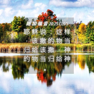 Picture 04 - 路 加 福 音 20:25 CUVS - 耶 稣 说 ： 这 样 ， 该 撒 的 物 当 - Bible Verse Picture