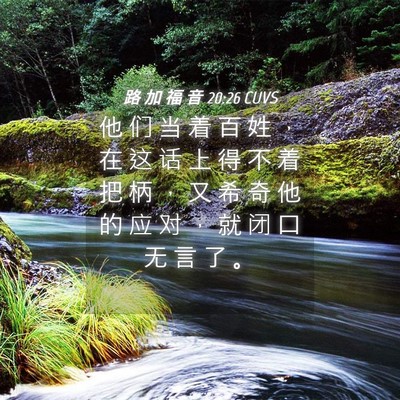 Picture 04 - 路 加 福 音 20:26 CUVS - 他 们 当 着 百 姓 ， 在 这 话 上 得 - Bible Verse Picture