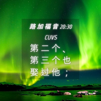 Picture 04 - 路 加 福 音 20:30 CUVS - 第 二 个 、 第 三 个 也 娶 过 他 - Bible Verse Picture