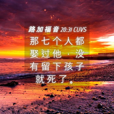 Picture 04 - 路 加 福 音 20:31 CUVS - 那 七 个 人 都 娶 过 他 ， 没 有 留 - Bible Verse Picture