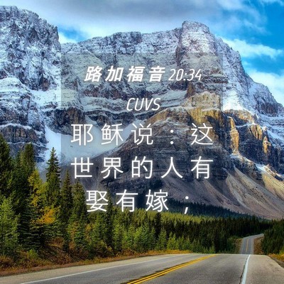 Picture 04 - 路 加 福 音 20:34 CUVS - 耶 稣 说 ： 这 世 界 的 人 有 娶 有 - Bible Verse Picture