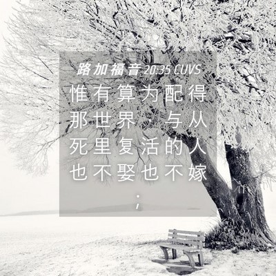 Picture 04 - 路 加 福 音 20:35 CUVS - 惟 有 算 为 配 得 那 世 界 ， 与 从 - Bible Verse Picture