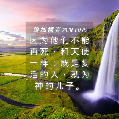 Picture 04 - 路 加 福 音 20:36 CUVS - 因 为 他 们 不 能 再 死 ， 和 天 使 - Bible Verse Picture