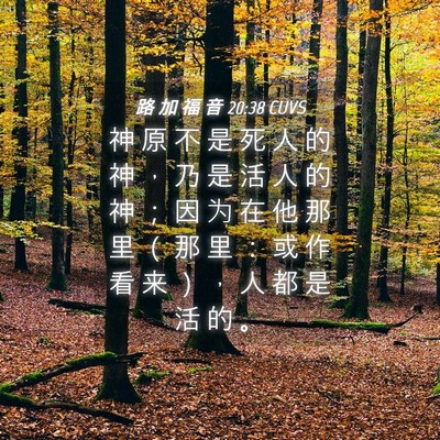 Picture 04 - 路 加 福 音 20:38 CUVS - 神 原 不 是 死 人 的 神 ， 乃 是 活 - Bible Verse Picture