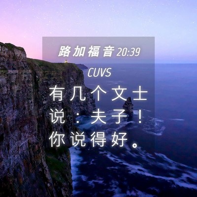 Picture 04 - 路 加 福 音 20:39 CUVS - 有 几 个 文 士 说 ： 夫 子 ！ 你 说 - Bible Verse Picture