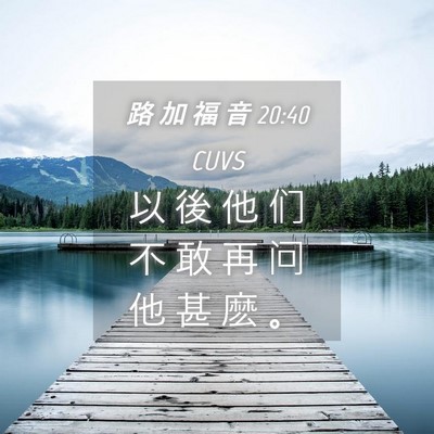Picture 04 - 路 加 福 音 20:40 CUVS - 以 後 他 们 不 敢 再 问 他 甚 麽 - Bible Verse Picture