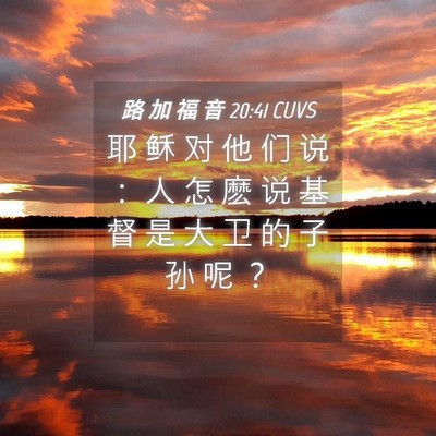 Picture 04 - 路 加 福 音 20:41 CUVS - 耶 稣 对 他 们 说 ： 人 怎 麽 说 基 - Bible Verse Picture