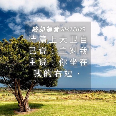 Picture 04 - 路 加 福 音 20:42 CUVS - 诗 篇 上 大 卫 自 己 说 ： 主 对 我 - Bible Verse Picture